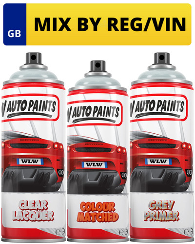 Aerosol spray paint kit - spray,