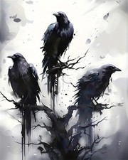 Paint by Numbers Kit for