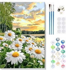 Paint by Numbers for Adults