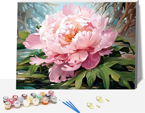 Framed paint numbers kit - paint,