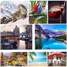 DIY Paint by Numbers Kit –