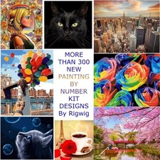 DIY PAINT BY NUMBERS OIL