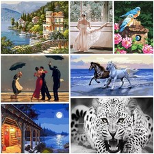 Oil Paint by Numbers Canvas