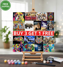 Oil Paint by Numbers Canvas